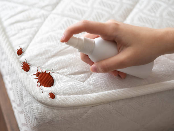 Emergency Pest Control in Mandeville, LA